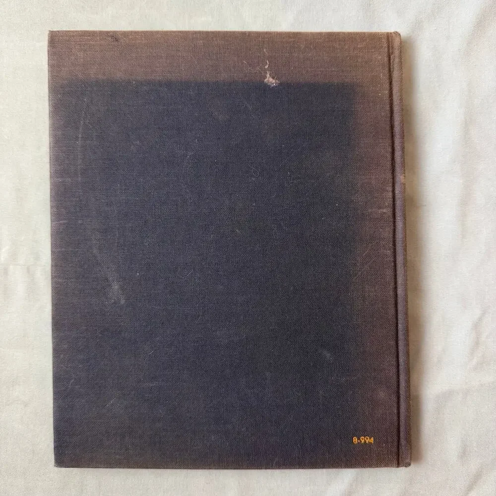 VTG 1966 Oriental Brushwork by Wang Chi-Yuan Art Book Water-Ink Painting Artist